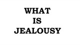 What is JEALOUSY?
