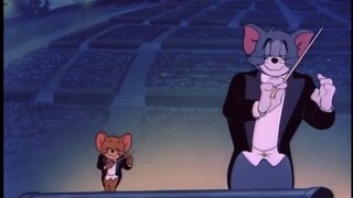 【Tom and Jerry】Norwegian cat