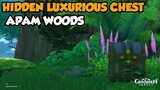 Hidden Luxurious Chest Apam Woods【Genshin Impact】