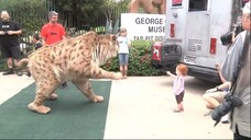 Saber-toothed cat struts down Wilshire Blvd in L.A. and comes home to the Tar Pi