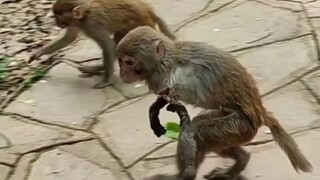 电工师傅刚下班