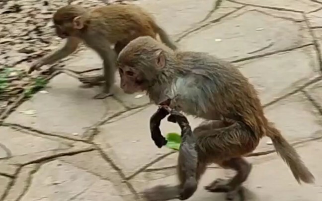 The electrician just got off work.