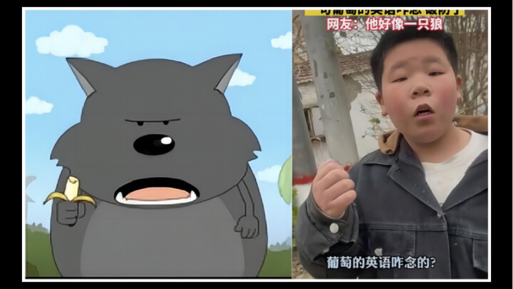 焦太狼是你吗？