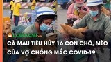 Cà Mau tiêu hủy 16 con chó, mèo của vợ chồng mắc COVID-19 | Video AloBacsi