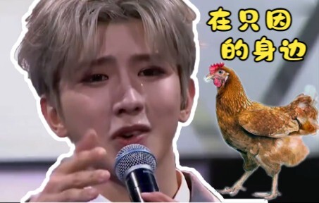 «อยู่เคียงข้าง 🐔» เพียงเพราะคิดว่าลืมออกไข่ จึงต้องเผชิญหน้ากับเวที