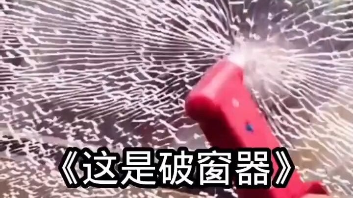 Berani juga coba [tertawa keras]