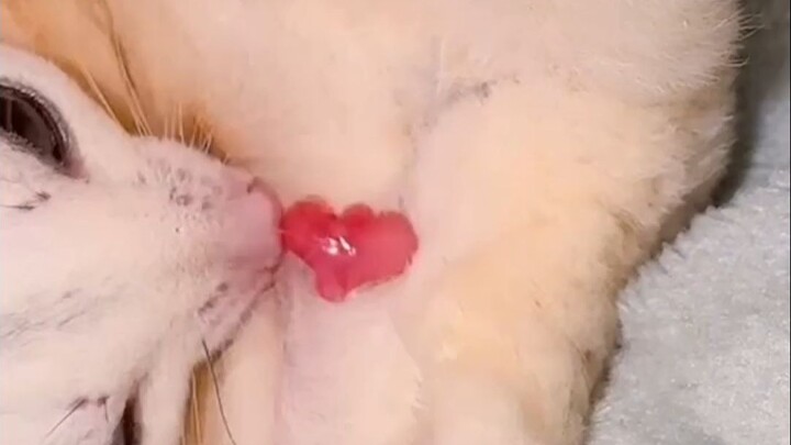 Climbing up step by step