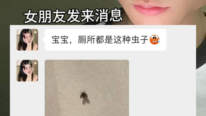 Think About It—It’s Terrifying! If You Spot This Bug in the Bathroom, Never Swat It with Your Hands!