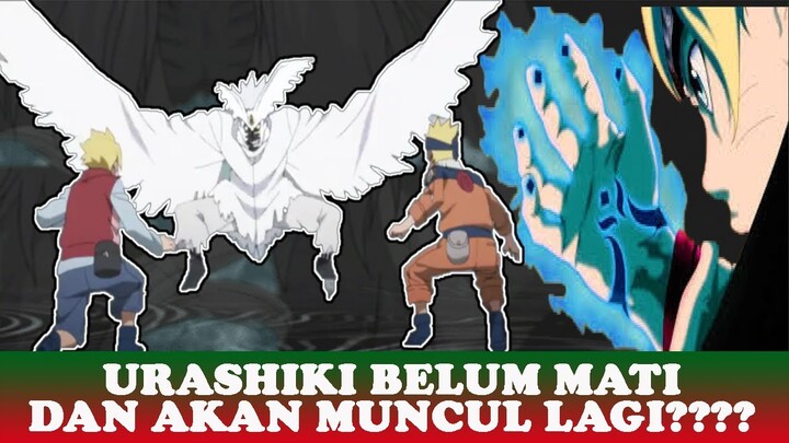VIRAL!!! URASHIKI MASIH HIDUP??? 5 HAL UNIK TENTANG URASHIKI OTSUTSUKI