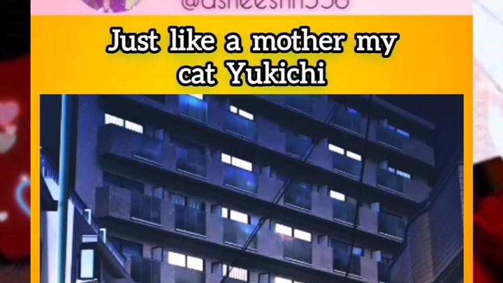 Cat yukichi