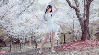 【竖屏】浪人琵琶⭐️谁与我浪迹天涯