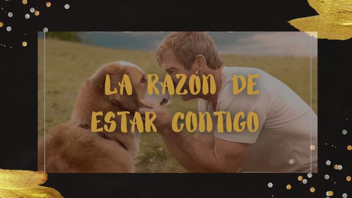 LA RAZON DE ESTAR CONTIGO-  ANALISIS