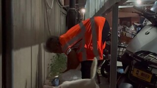 为了流浪猫，她第9855次走进黑夜。