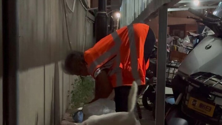 为了流浪猫，她第9855次走进黑夜。