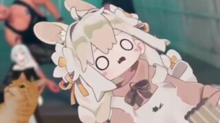 【おいこらしょ】搬运