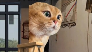 Saya tidak berharap keluarga kami menjadi begitu penting.