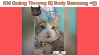 Ai cho mày cái quyền chê tao HẢ CÁI CON SEN KIA #funny #haihuoc