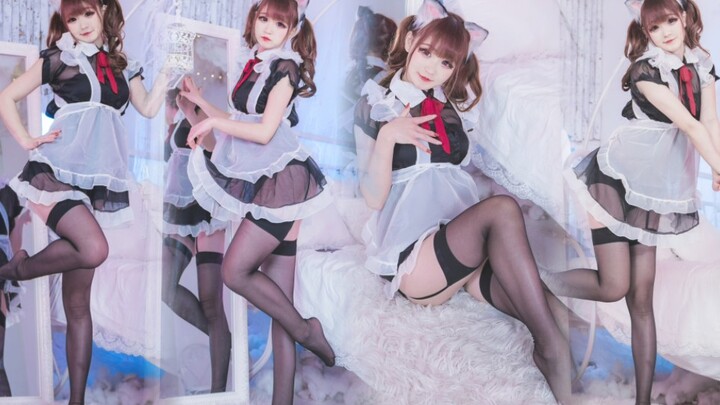 Vertical screen | I like cat maid the most❤Roly Poly