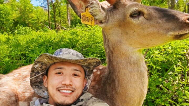 ใครจะปฏิเสธกวางน้อยน่ารักได้ล่ะ?