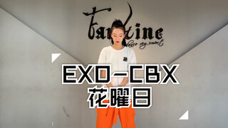 【Faustine舞团-崽儿】EXO-CBX 花曜日 翻跳