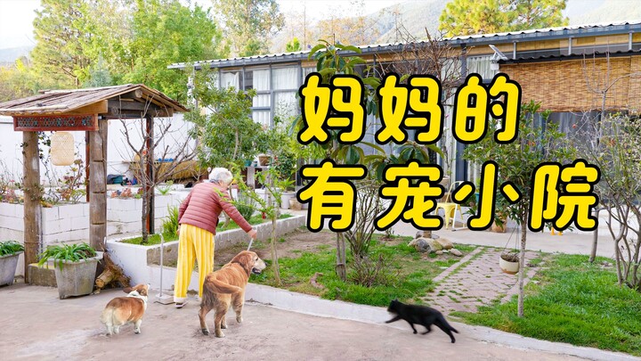 Yêu từng buổi sớm mai dịu dàng