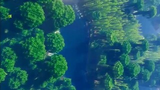 Minecraft view