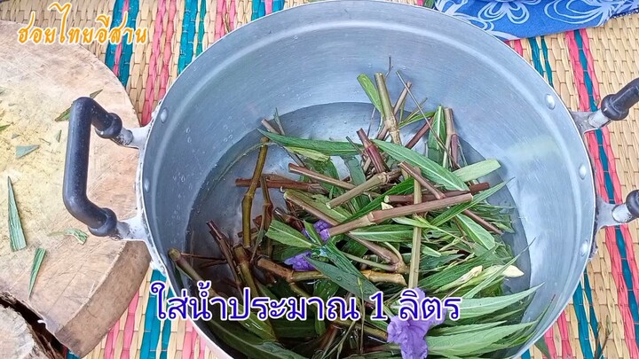 7 วันเห็นผล แก้อาการปวดเข่า มือชา เท้าชา สมุนไพรต้อยติ่ง/โดยฮอยไทยอีสาน