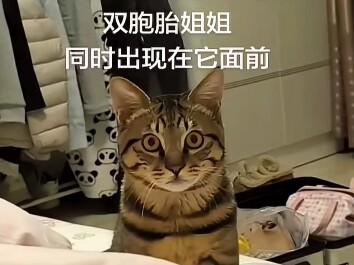 ซีพียูของน้องแมวไหม้แล้ว