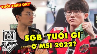 SAU 2 NĂM VẮNG MẶT, VCS VÀ SGB ĐANG Ở ĐÂU TRÊN ĐẤU TRƯỜNG QUỐC TẾ MSI 2022?