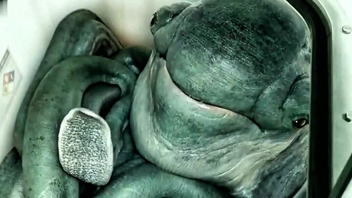 Người đàn ông phát triển siêu vi khuẩn có thể “ăn” dầu mỏ: chỉ cần một giọt là có thể tiêu hủy toàn 