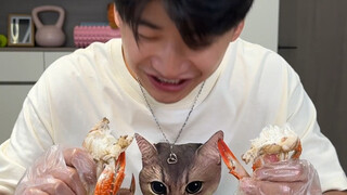 挑战一天只吃猕猴桃