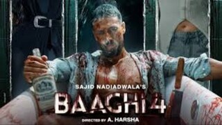 Baaghi.4.2025.