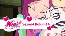 Winx Club - Sezon 4 Bölüm 14 - 7 Mükemmel Sayı