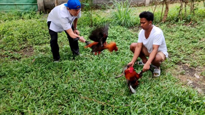 blacktravelers/gilmore VS gary giliam roundhead/golden boy sweater...