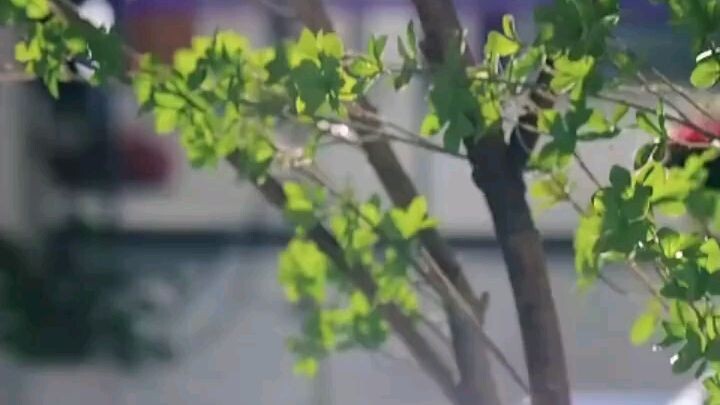 Pisah karna salah paham, ketemu lagi & beresin. Cinta ini nunggu 5 tahun! #minidrama #shortdrama