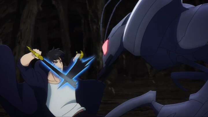 BERU VS. SUNG JINWOO