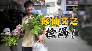 修仙文之终结者，想象力的地板砖