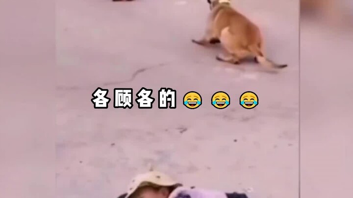 Does this scene look super harmonious? 😂