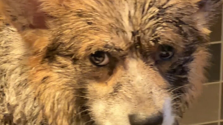 Trong lòng có ước mơ, không cam chịu số phận – cả đội đồng lòng, một lòng một dạ!