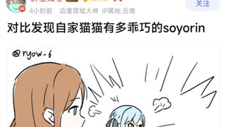 【MyGo】对比发现自家猫猫有多乖的soyorin