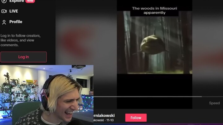 xQc căng thẳng vì vụ cá mập tấn công ở Mỹ