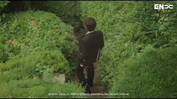 Enhypen music in the forest.