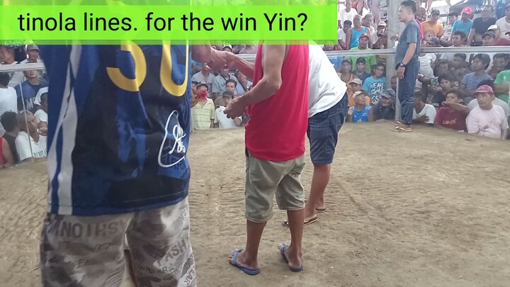 tinola lines😅 for the win😅