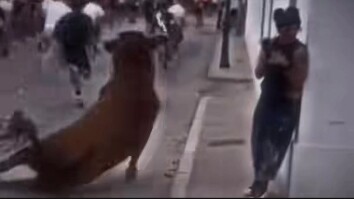 Cow: You’re just sitting there laughing at me, bro!