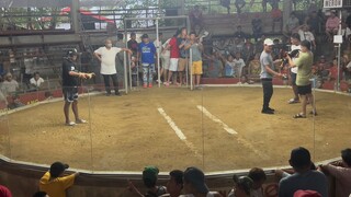 Lemon gwapo win fastest kill