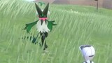 [Pokémon Zhu Zi] Tahap ketiga Xinye Meow masih sangat imut｡o(`ω´ )o