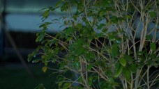 Khuê Trung Mật Hữu EP 8 [Sub Việt]