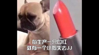 听得懂这个笑话的应该都养过修勾