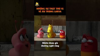 [Tập 3] LARVA: Top 50 Sự Thật Thú Vị Về Hoạt Hình Ấu Trùng Tinh Nghịch | meXINE