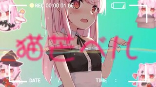 【杂谈】为了观众观感优先学习中文再考虑组内联动的宠粉猫